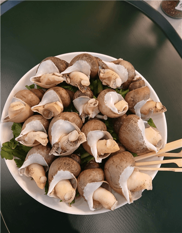 xgxyfpogrytsaiumt1msxkwf20250609